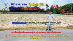 Giảm giá, bán lô đất mt đường nhựa Phan Thị Vẽ, dt 7.835m, QH khu dân cư, xã An Nhơn Tây.
