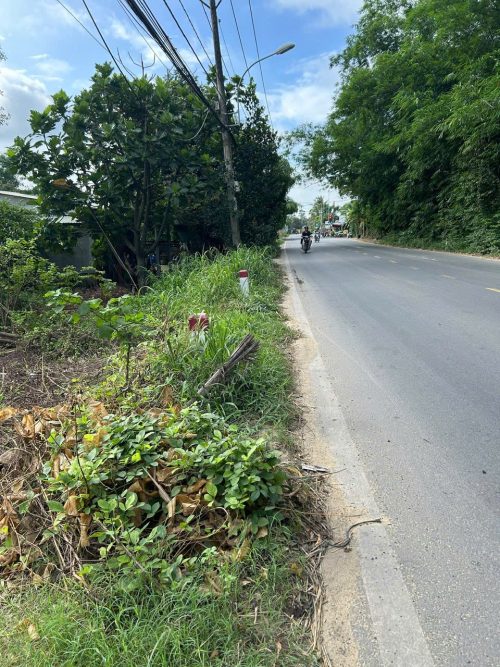 Bán lô đất Mặt tiền Tỉnh Lộ 15, 282m2, 51m2 thổ cư, xã An Nhơn Tây