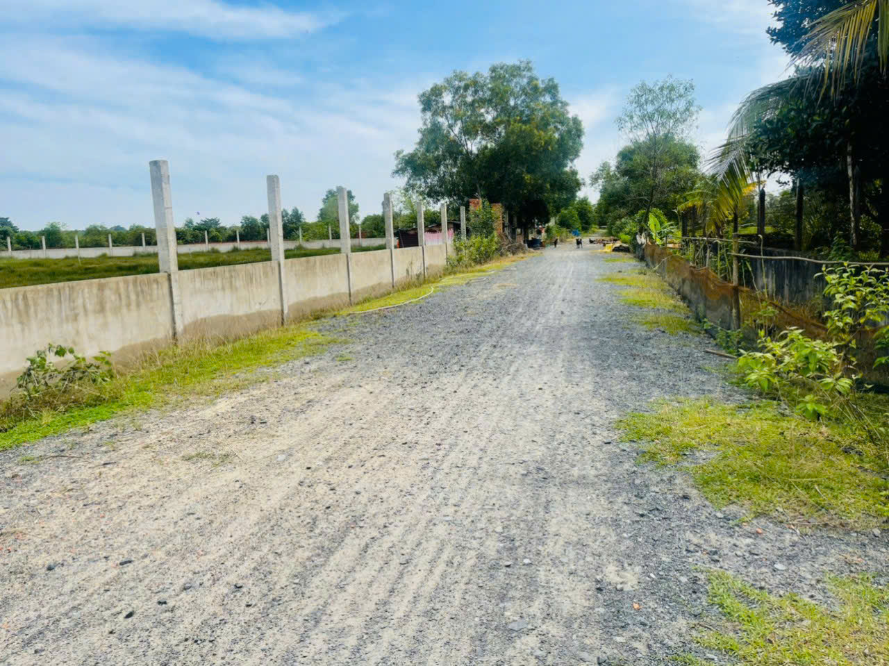 Bán lô đất đường ôtô, 1 sẹc đường Cây Gõ, 12,080 m2, mặt tiền 105m, xã An Nhơn Tây (mới)