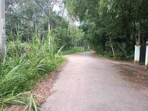 Đất Củ Chi, lô đất mặt tiền đường Bùi Thị Ngọn, dt 1176m2, có 164m thổ cư, xã An Nhơn Tây.