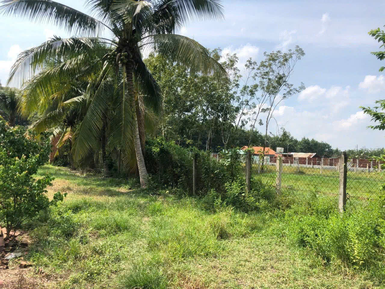 Đất Củ Chi! Bán gấp lô đất MT đường Hà Thị Kiểm, dt 1.711m, có 500m thổ, xã Phú Mỹ Hưng