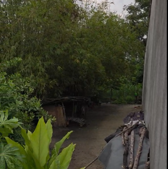 Bán lô đất đường nhựa, 1 sẹc Đỗ Đăng Tuyển, diện tích 116m, full thổ cư, xã An Nhơn Tây