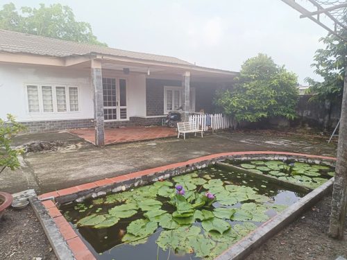 Bán nhà vườn 1 sẹc Trần Văn Chẩm, diện tích 908m2, 200m2 thổ, xã Củ Chi (mới).