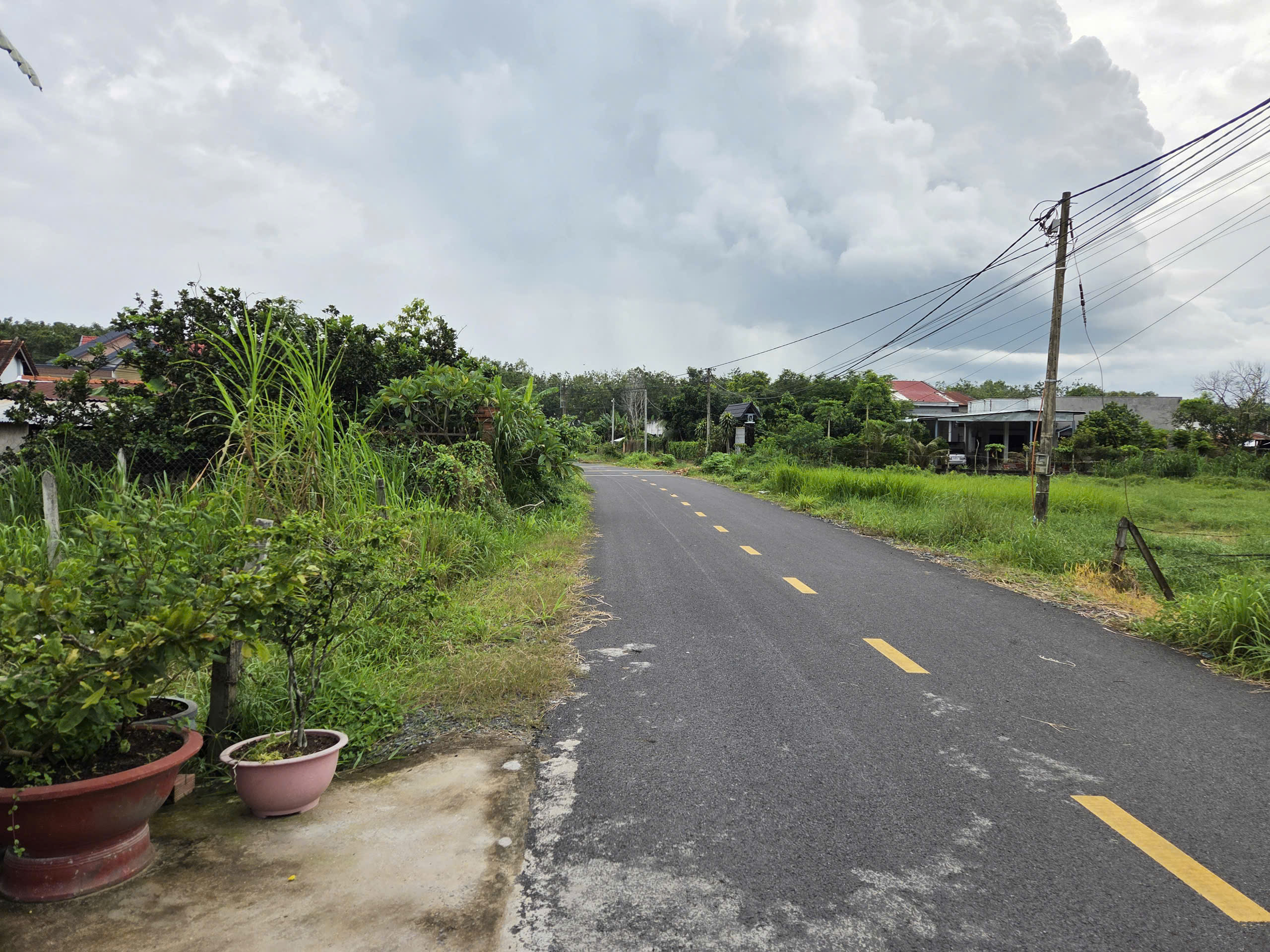 Bán lô đất đường nhựa, 1 sẹc Đỗ Đăng Tuyển, diện tích 116m, full thổ cư, xã An Nhơn Tây