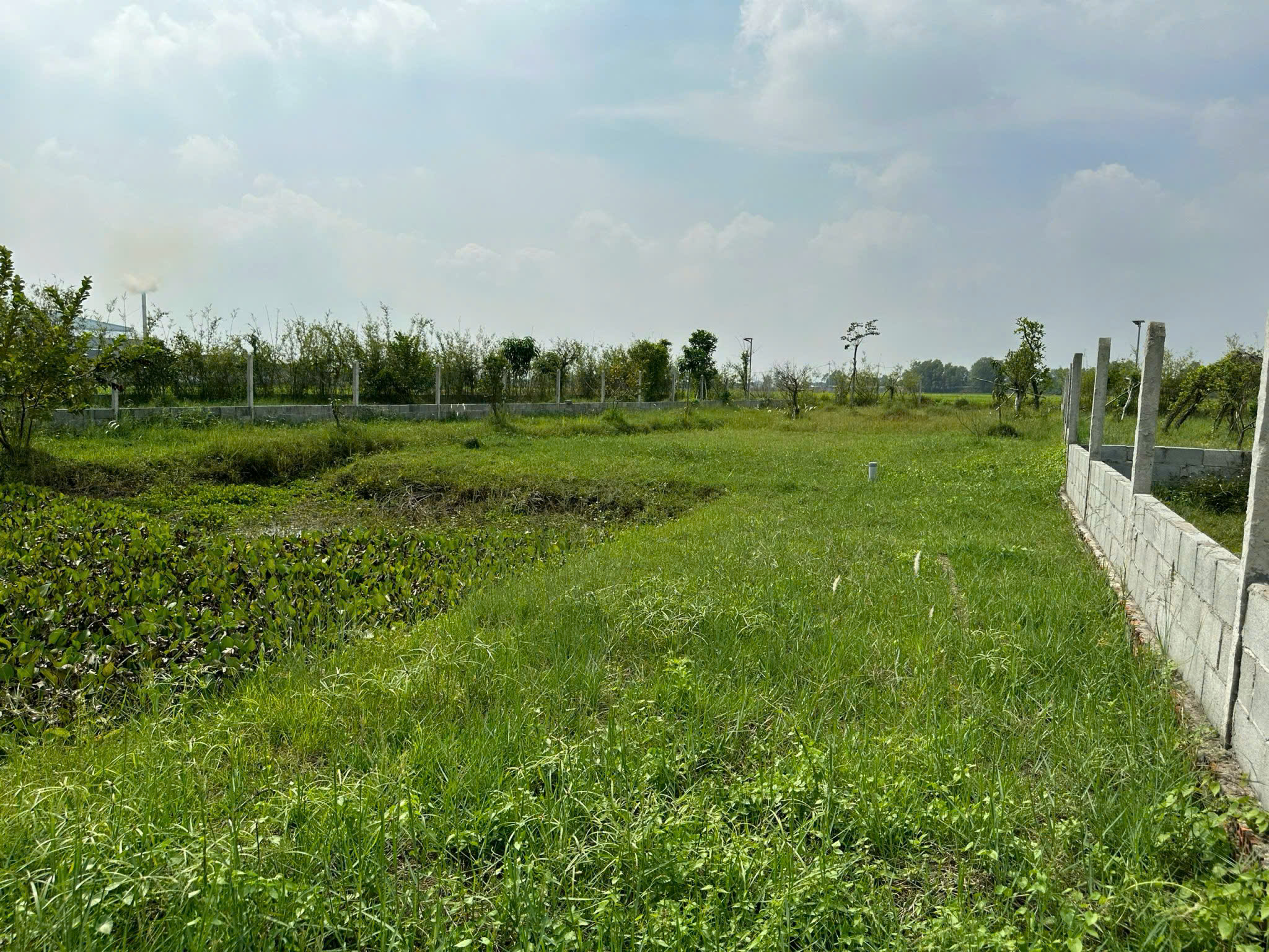 Đất Củ Chi! Bán gấp lô đất vườn đường Bê tông xe oto tận nơi, dt 1000m, xã Trung Lập Thượng