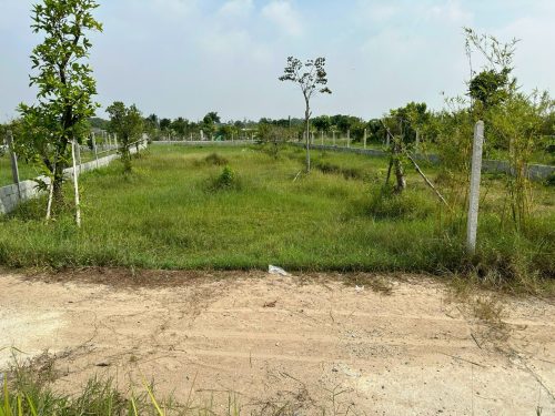 Đất Củ Chi! Bán gấp lô đất vườn đường Bê tông xe oto tận nơi, dt 1000m, xã Trung Lập Thượng