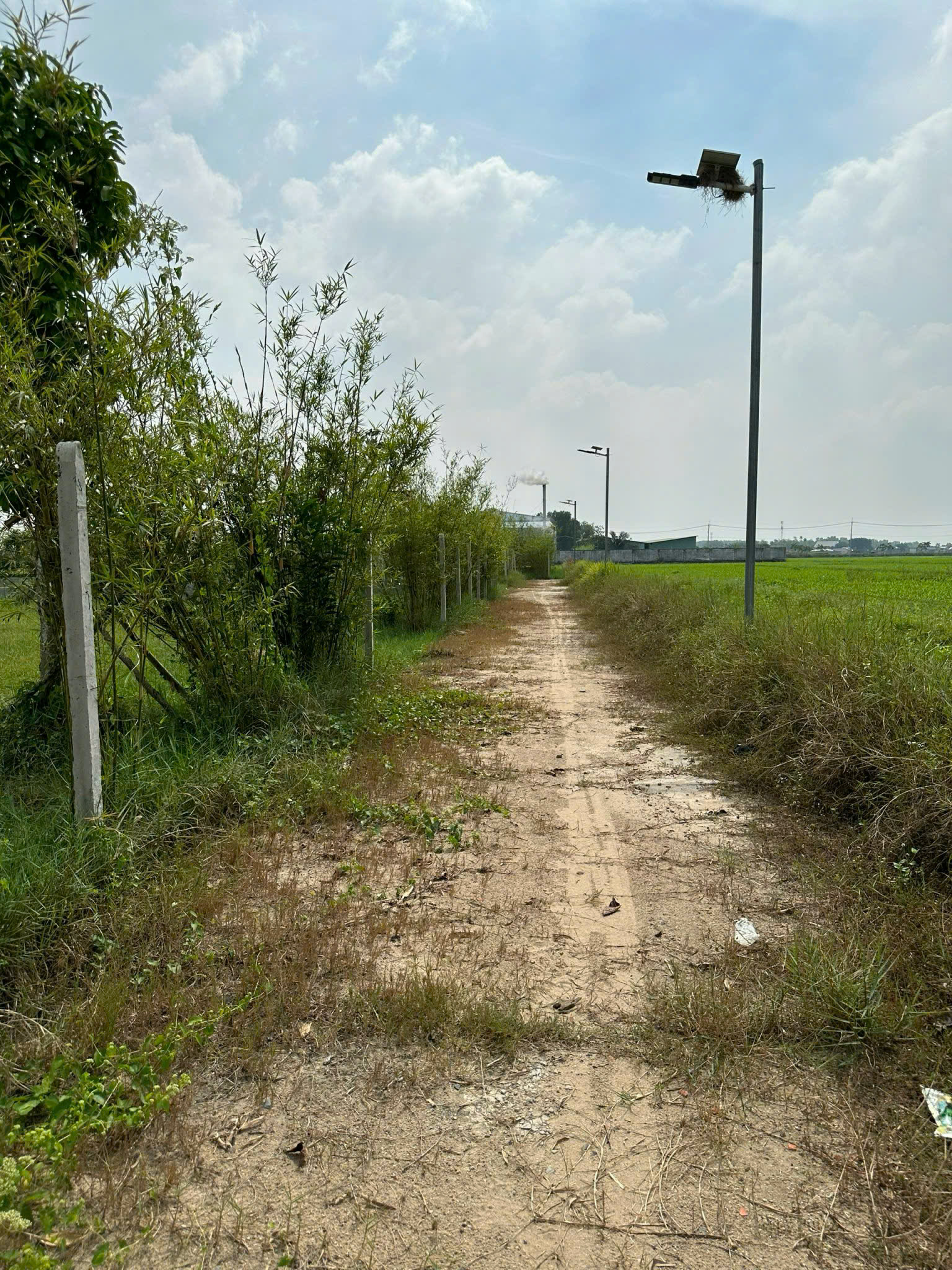 Đất Củ Chi! Bán gấp lô đất vườn đường Bê tông xe oto tận nơi, dt 1000m, xã Trung Lập Thượng