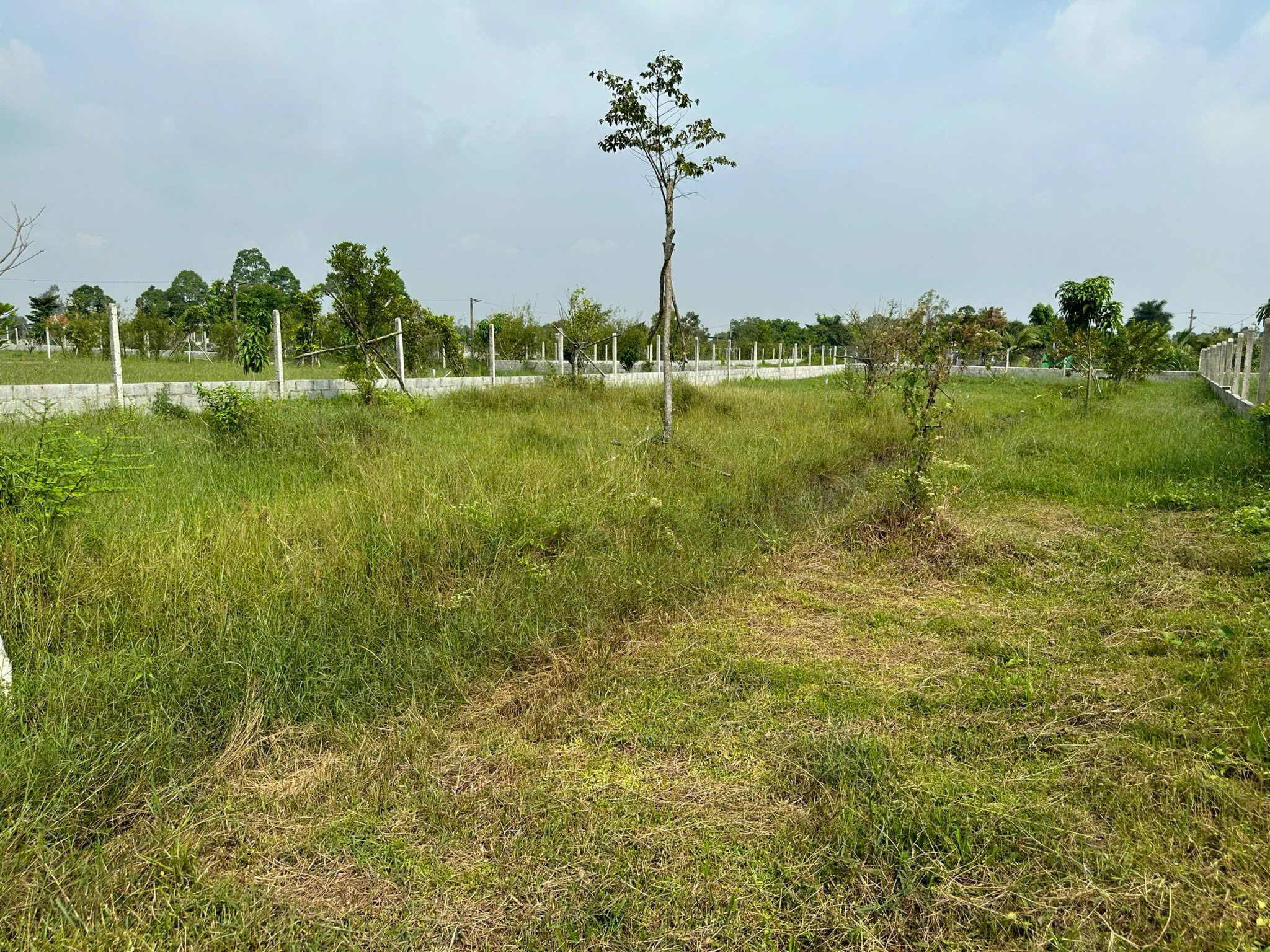 Đất Củ Chi! Bán gấp lô đất vườn đường Bê tông xe oto tận nơi, dt 1000m, xã Trung Lập Thượng