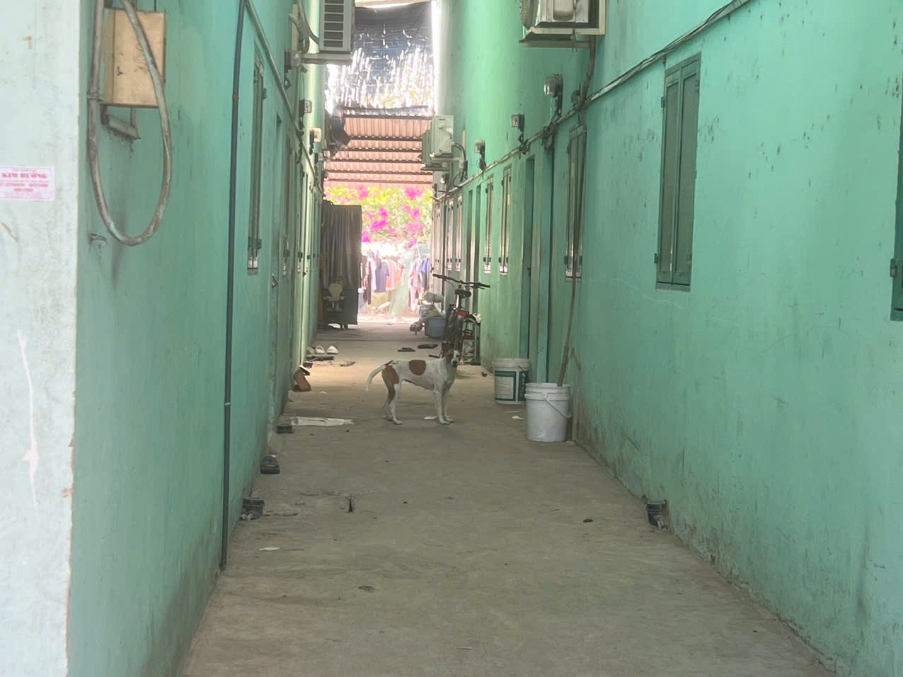 Bán dãy nhà trọ 13 phòng đang cho thu nhập 14tr/Tháng, 2 sẹc TL 2, dt 478m2, có 399m thổ cư, xã Nhuận Đức (mới)