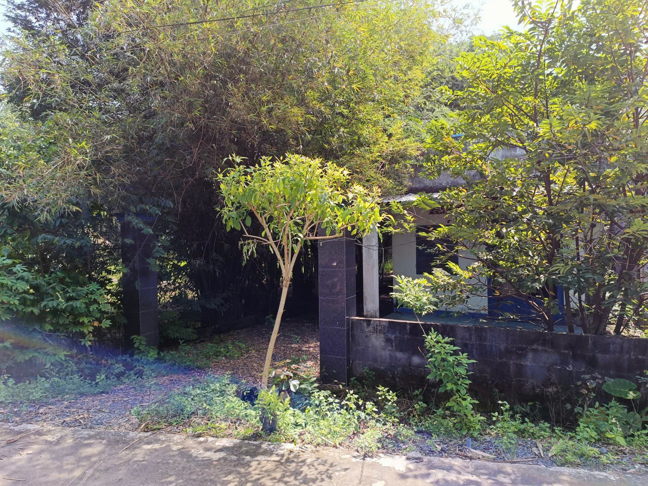 Bán lô đất mặt tiền đường Nguyễn Thị He, diện tích 281m2, 36m2 thổ cư, xã Thái Mỹ (mới).