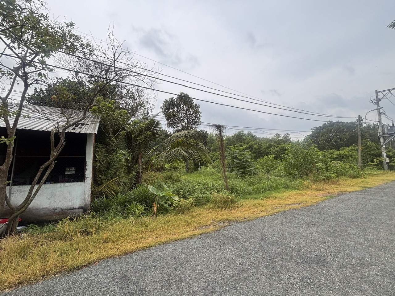 Bán đất Củ Chi, mt đường nhựa 436, 1 sẹc ngắn Cây Bài, tổng 640m2, có 200m thổ cư, Xã Phú Hòa Đông.