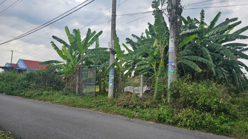 Đất Củ Chi! Bán lô đất mt đường Trần Quang Đạo, dt 410m, 200m thổ, xã Tân Thông Hội.