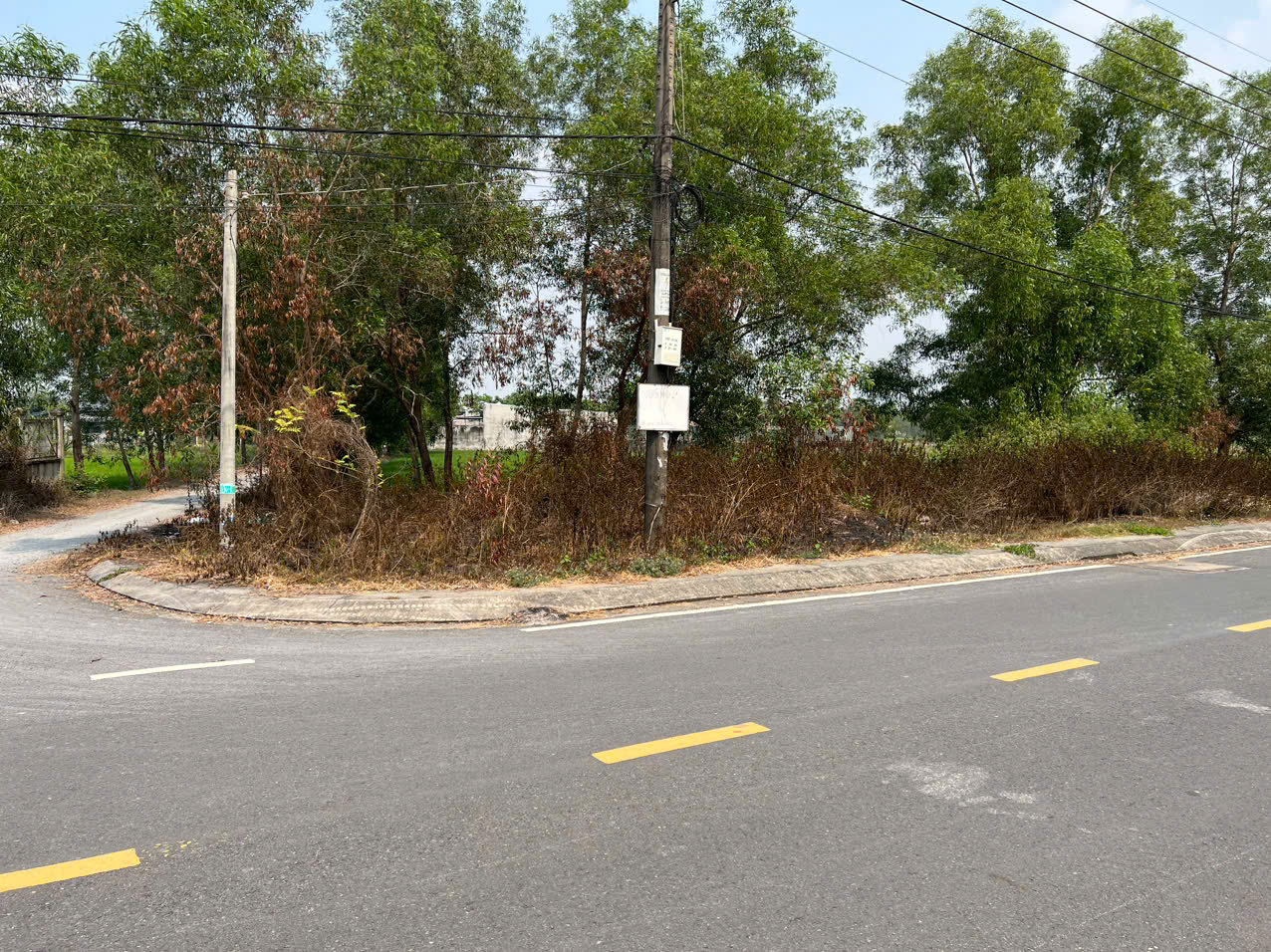 Bán đất Củ Chi, lô đất góc 2 MT đường Nguyễn Thị Lèn, diện tích 371,5m2 quy hoạch khu dân cư, xã Bình Mỹ.