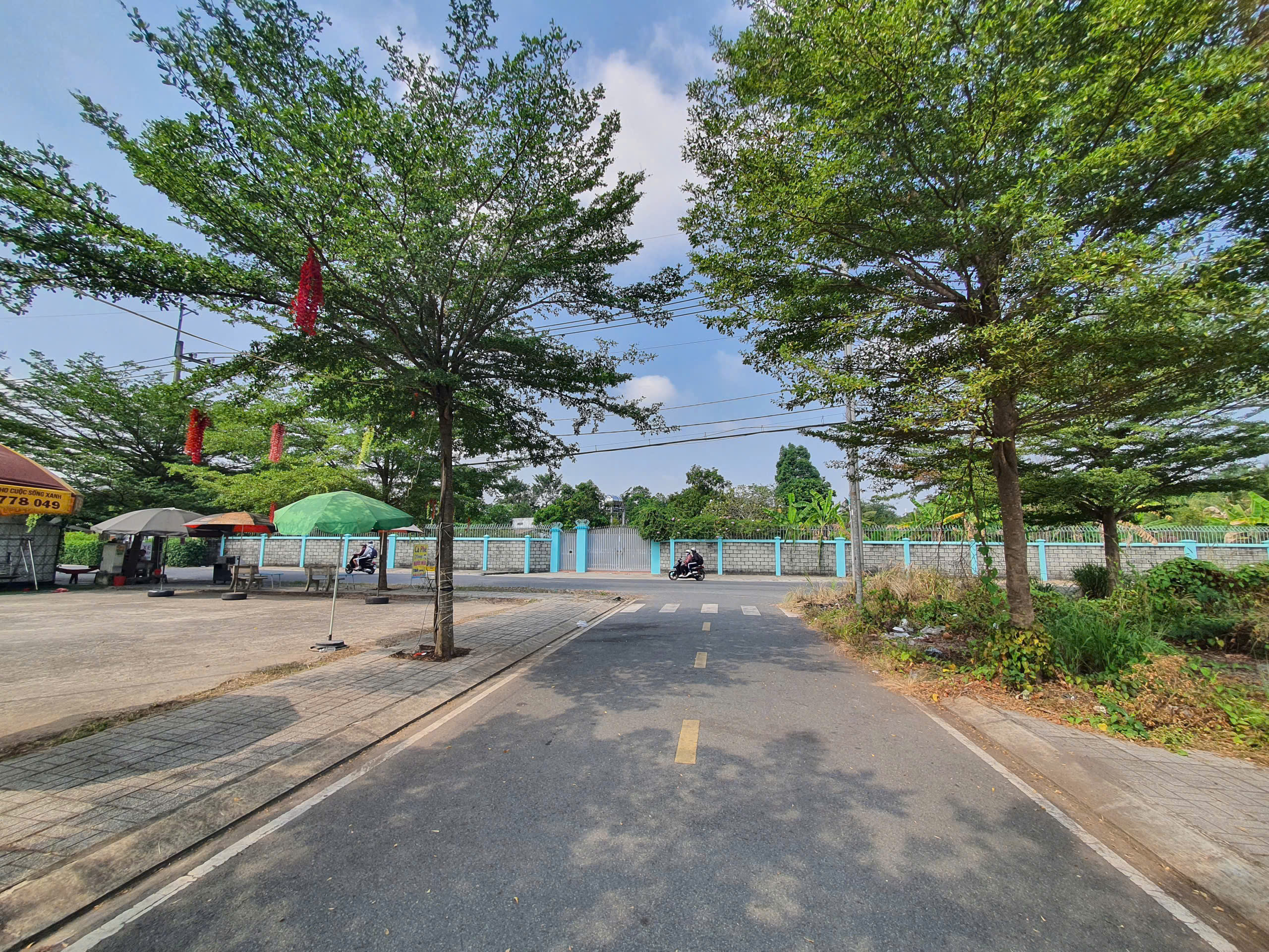 Đất Củ Chi! bán lô đất mt đường nhựa, 1 sẹc ngắn Trần Văn Chẩm, dt 80,5m, 100% thổ cư, xã Tân Thông Hội