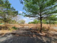 Đất Củ Chi! bán lô đất mt đường nhựa, 1 sẹc ngắn Trần Văn Chẩm, dt 80,5m, 100% thổ cư, xã Tân Thông Hội