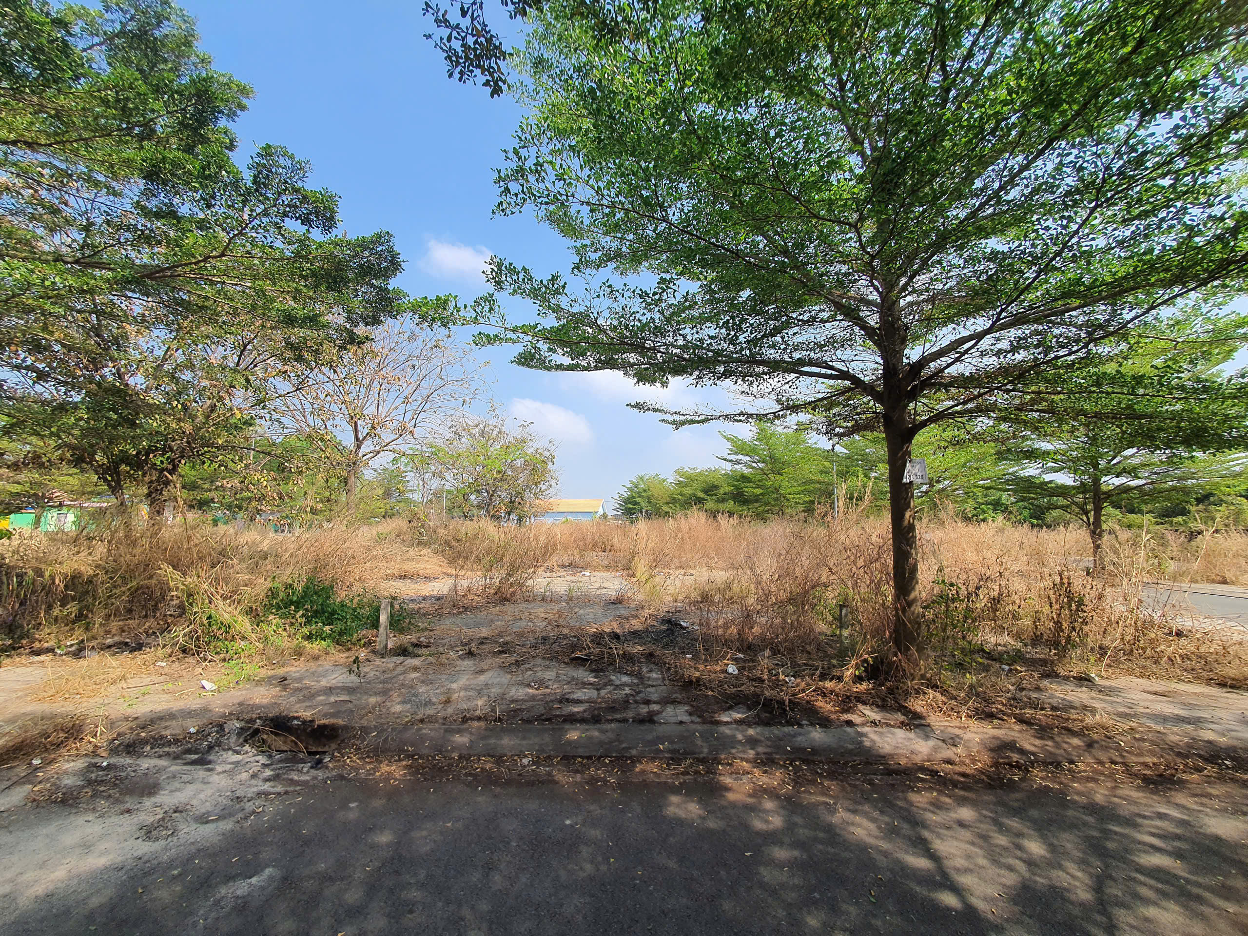 Đất Củ Chi! bán lô đất mt đường nhựa, 1 sẹc ngắn Trần Văn Chẩm, dt 80,5m, 100% thổ cư, xã Tân Thông Hội