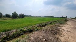 Đất Củ Chi! bán lô đất mt đường kênh xe tải, dt 2.562m, đất vườn, xã Tân Thông Hội