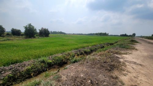 Đất Củ Chi! bán lô đất mt đường kênh xe tải, dt 2.562m, đất vườn, xã Tân Thông Hội