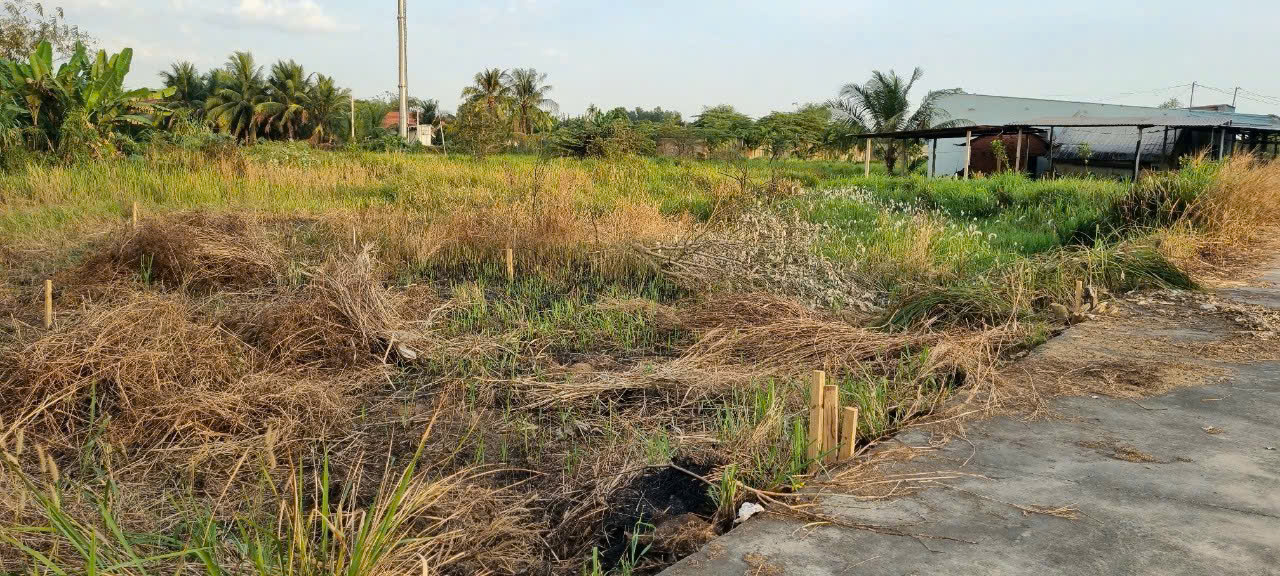 Đất Củ Chi! Bán gấp lô đất Bê tông xe oto tận nơi, dt 85,5m, full thổ, xã Bình Mỹ