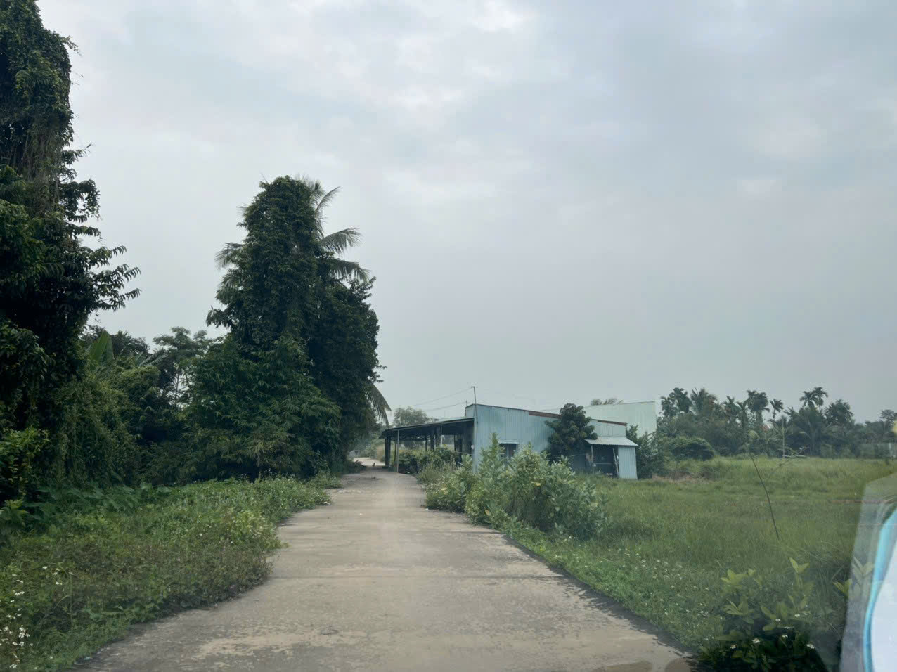 Đất Củ Chi! Bán gấp lô đất Bê tông xe oto tận nơi, dt 85,5m, full thổ, xã Bình Mỹ