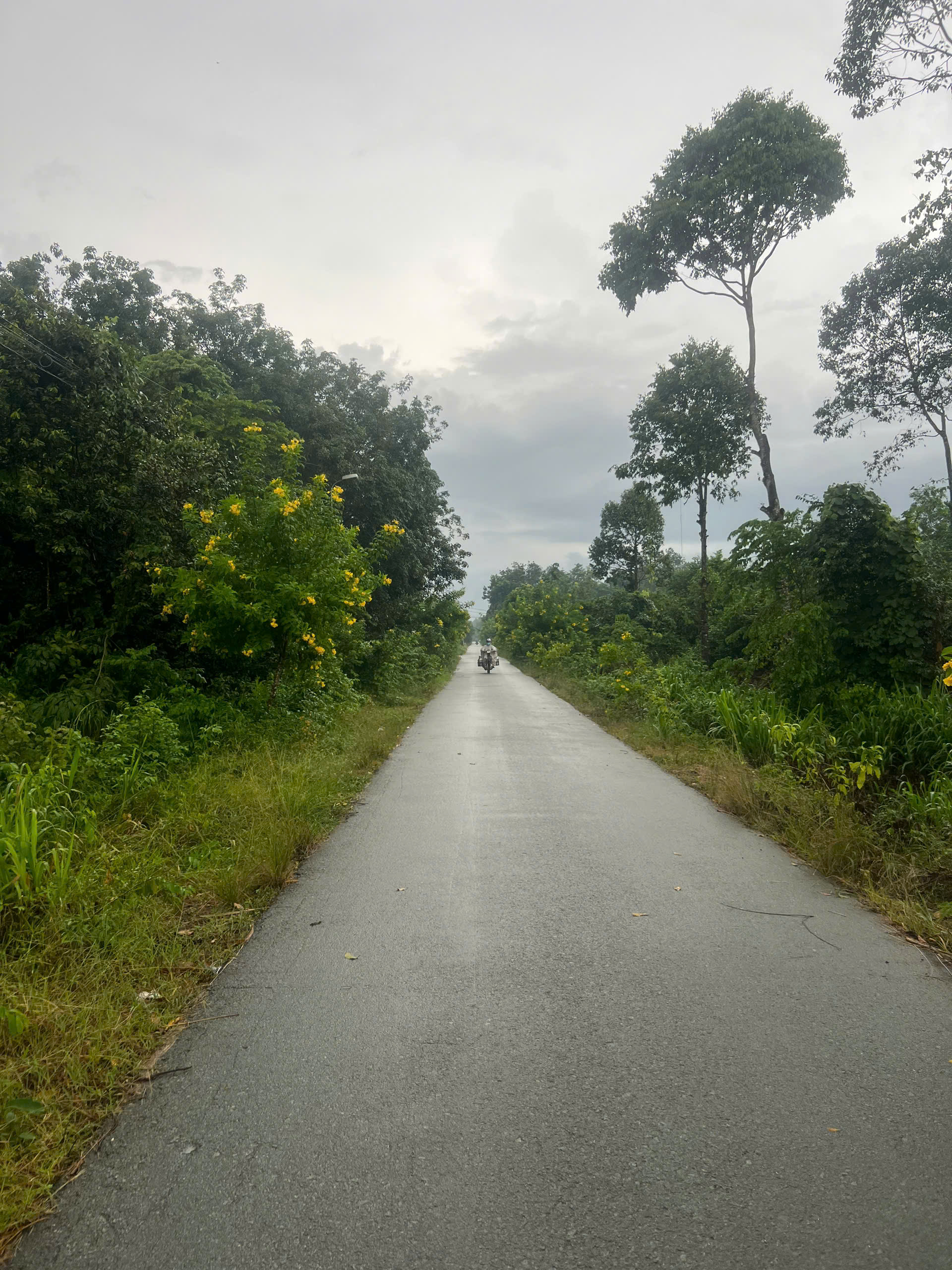 Đất Củ Chi! Bán lô đất mt đường nhựa Nguyễn Thị Chiếu, dt 576,5m, có 188m thổ, xã An Phú (cũ).