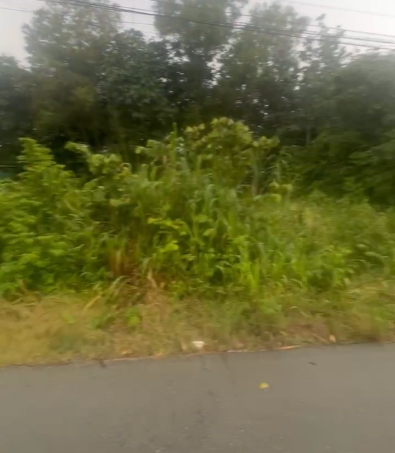 Đất Củ Chi! Bán lô đất mt đường nhựa Nguyễn Thị Chiếu, dt 576,5m, có 188m thổ, xã An Phú (cũ).