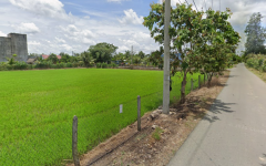 Bán lô đất mặt tiền đường Trung Hưng, diện tích 1.168m2, có 137m2 thổ cư, xã Thái Mỹ (mới).