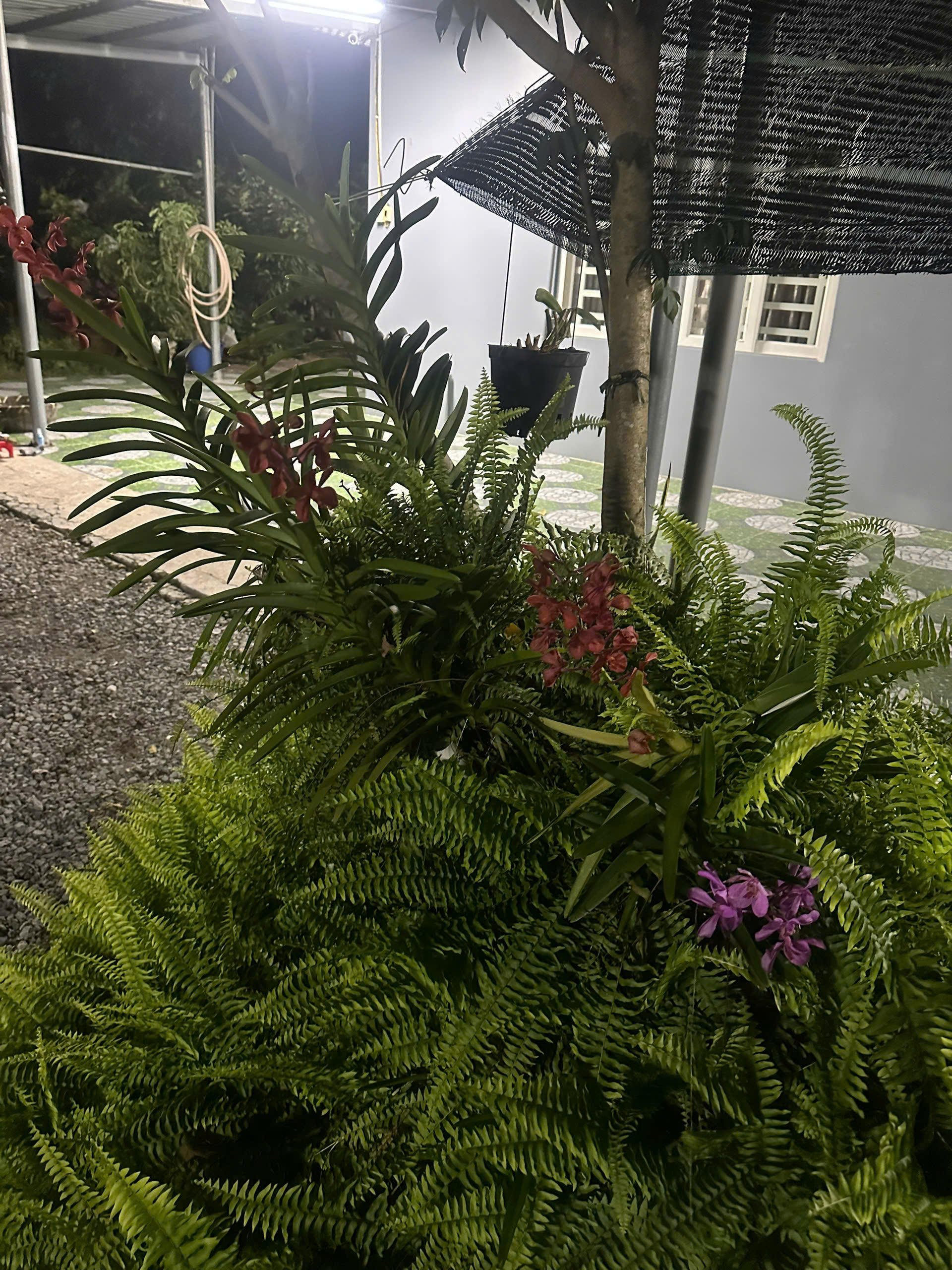 Đất Củ Chi! bán lô đất 1 sẹc đường Phạm Thị Xạ, dt 1922m2, 300m thổ, xã Phước Thạnh (Thái Mỹ mới)