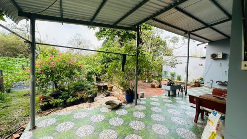 Đất Củ Chi! bán lô đất 1 sẹc đường Phạm Thị Xạ, dt 1922m2, 300m thổ, xã Phước Thạnh (Thái Mỹ mới)