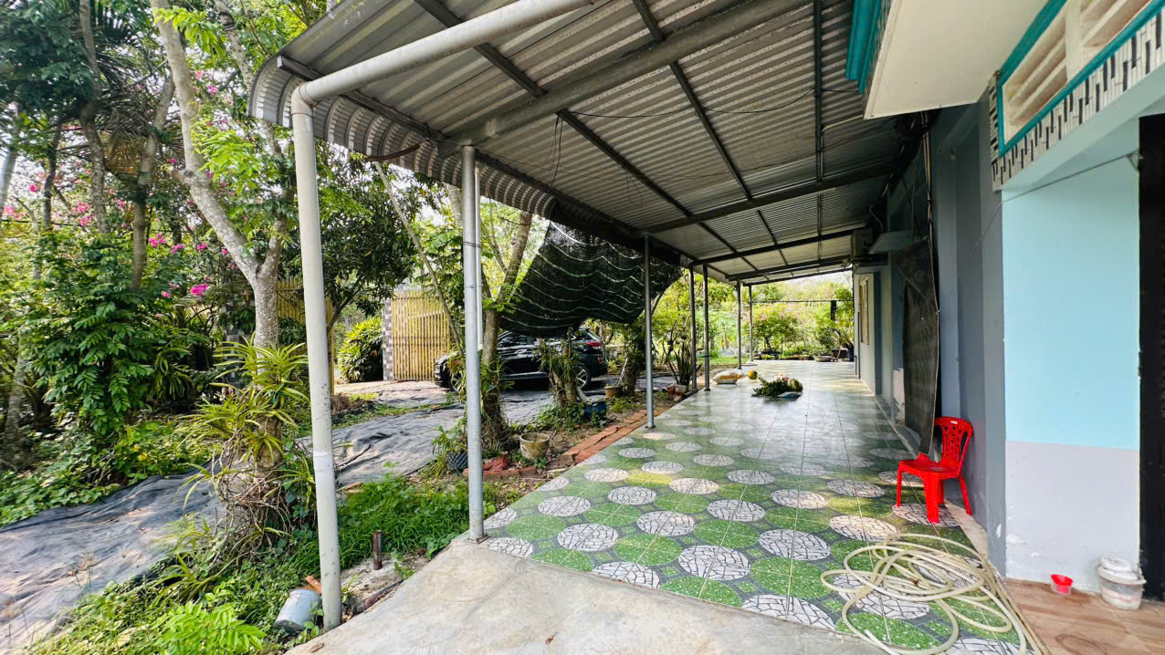 Đất Củ Chi! bán lô đất 1 sẹc đường Phạm Thị Xạ, dt 1922m2, 300m thổ, xã Phước Thạnh (Thái Mỹ mới)