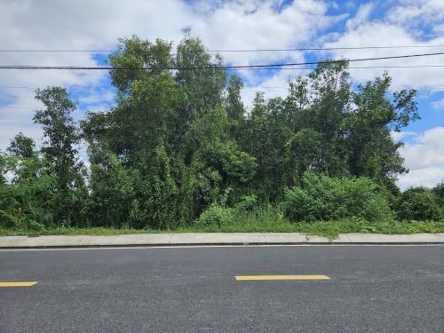 Đất Củ Chi! bán lô đất mặt tiền đường Nguyễn Thị Lèn, dt 325m2, full thổ, xã Trung An (Bình Mỹ mới)