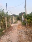 Đất Củ Chi, lô đất 1 sẹc Giồng Cát, diện tích 568m2 khu dân cư ,xã Tân Phú Trung (xã Củ Chi mới).