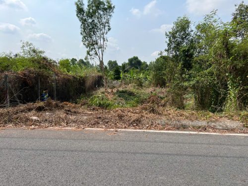 Đất Củ Chi! bán lô đất mặt tiền đường Nguyễn Thị Lèn, dt 325m2, full thổ, xã Trung An (Bình Mỹ mới)