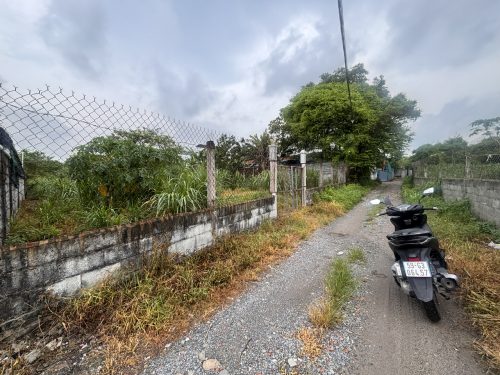 Bán lô đất 2 mặt tiền trước sau, 1 sẹc Nguyễn Thị Nê, tổng diện tích 515m2, có 100m2 thổ cư, xã Phú Hòa Đông.