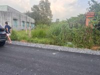 Bán lô đất đường nhựa, 1 sẹc Đỗ Đăng Tuyển, diện tích 139m, full thổ cư, xã An Nhơn Tây