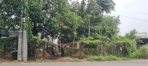 Bán lô đất mặt tiền đường nhựa, diện tích 403m², có 40m² thổ, xã Nhuận Đức.