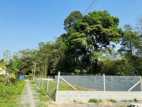 Bán lô đất mt trải đá, 1 sẹc Nguyễn Văn Khạ, dt 312m đất vườn, QH KDC, xã Tân An Hội