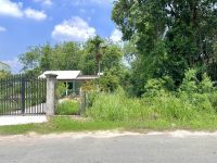 Bán lô đất Mặt tiền đường Cây Gõ, 313m2, full thổ cư, xã An Nhơn Tây.
