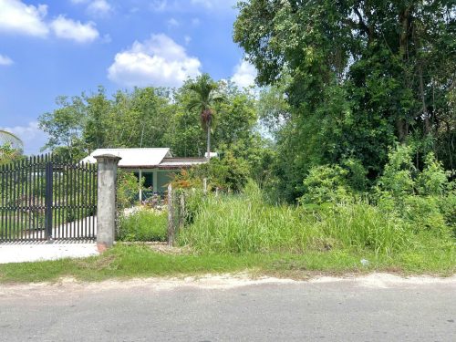 Bán lô đất Mặt tiền đường Cây Gõ, 313m2, full thổ cư, xã An Nhơn Tây.