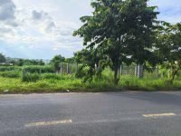 Ngộp! Bán lô đất mt đường nhựa Bà Thiên lớn, dt 224m, full thổ, xã Nhuận Đức.