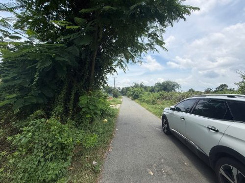 Bán lô đất mặt tiền đường nhựa Lê Thị Do, diện tích 1.145m2, có 300m2 thổ cư, xã Thái Mỹ.