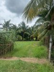 Bán lô đất 1 sec Võ Vẵn Điều, diện tích 1.360m2, QH KDC, xã Thái Mỹ (mới).