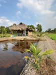 [BÁN NHÀ VƯỜN AO CÁ] 1.583m² Đường Trung Đông 7, Hóc Môn – Không Gian Nghỉ Dưỡng Lý Tưởng